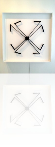 organisme géométrique 8