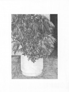 Hall B -plante 1, mine graphite sur papier, 2014
