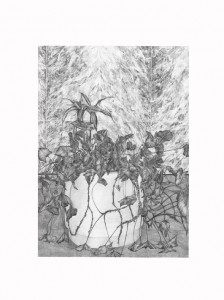 Hall B -plante2, mine graphite sur papier, 2014