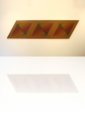 Carlos Cruz-Diez